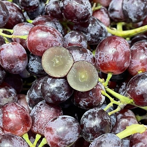 Thu hồi thuốc nhỏ mắt, tai không đạt chất lượng