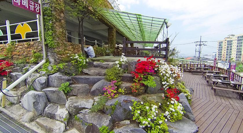 Tiến sĩ Trương Bình Nguyên hướng dẫn sinh viên Khoa Sinh học Trường Đại học Đà Lạt phân biệt đặc điểm các loại nấm rừng thông Đà Lạt có độc và không có độc tố
